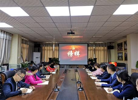 向榜樣看齊，做合格黨員